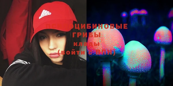 не бодяженный Богородицк