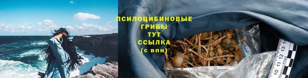 мет Богданович