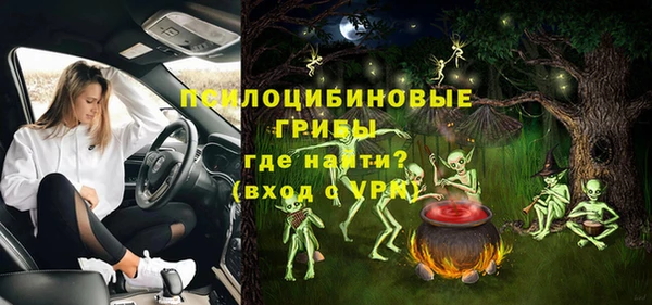 не бодяженный Богородицк