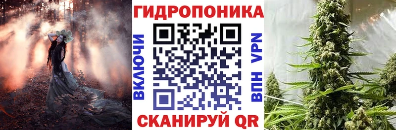 Купить Мариинск Шишки марихуана SATIVA & INDICA